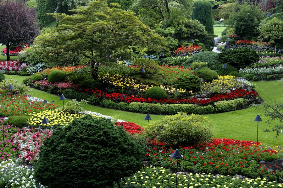 Landscaped garden with flower beds